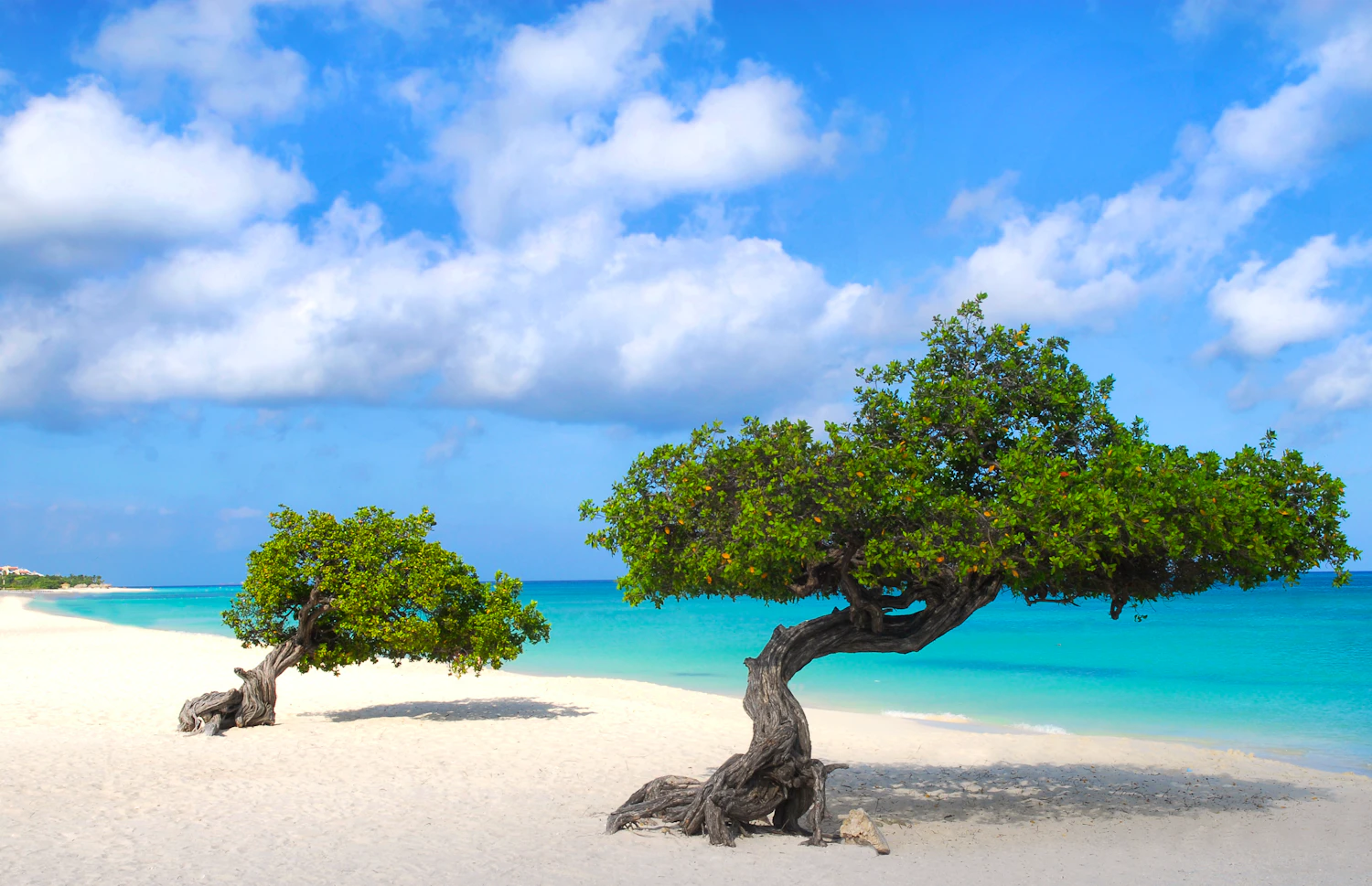 Calm turquoise water and white sand on Eagle Beach in Aruba